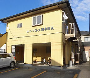 ���o�[�p���X������