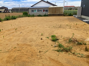 ���q�s�̔��n�A�咬��3��敪���n